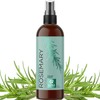 Rosemary Water Spray for Hair & Scalp - Biotin Rosemary