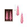 Creative Co-Op Unscented Textured Tree Shaped Taper Candles in Box,