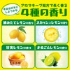 温泡 瀬戸内レモン 入浴剤 アソート 12錠入 メントール配合 炭酸入浴剤 アロマ 詰め合わせ リラックス