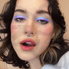 ZS 16G Segment Septum Nose Rings for Women Men, 8mm 10mm Stainless Steel Clicker Cartilage Earrings Hoop Teardrop Rook Helix Piercing Jewellry (Silver-8mm)