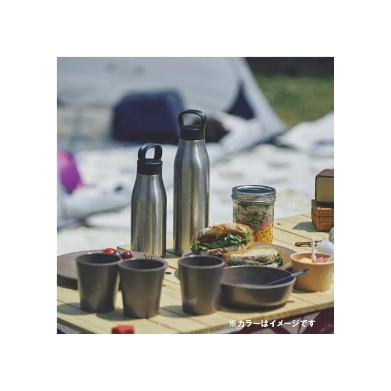 Coleman Double Stainless Steel Bottle 590 (Black)