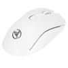 Wireless Mouse 2.4G USB Receiver 800 to 4800 DPI Ergonomic
