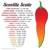 Kwik Grow 100 California Wonder Bell Pepper Heirloom Seeds, NON-GMO,