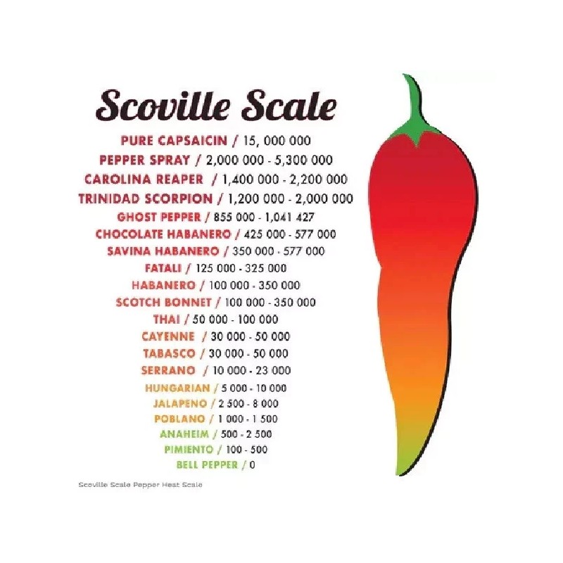 Kwik Grow 100 California Wonder Bell Pepper Heirloom Seeds, NON-GMO,