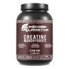 Creatina Gladiator Monohidratada 1kg 200 Servicios Sabores Limn
