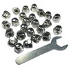 ZDingTech 25pcs 3/8-16 Acorn Cap Nuts,3/8-16 Cap Nuts,Acorn Hex Cap