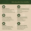 Premium Dried Wolffia globosa Superfood | Low Carb, High Protein