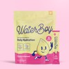 Daily Hydration Supplement | Sugar Free 1,570mg Electrolyte Powder Packets:_Watermelon_30