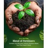 FoxFarm Happy Frog All Purpose Fertilizer - Slow Release Fertilizer