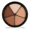 Mehron Maquillaje Para Ocultar Tatuajes Con 5 Tonos, 28g Tono