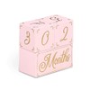 The Peanutshell Milestone Blocks Pink/Gold
