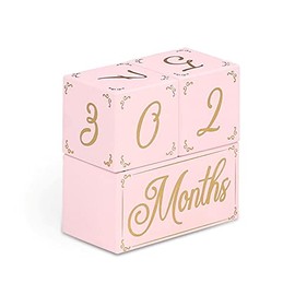 The Peanutshell Milestone Blocks Pink/Gold