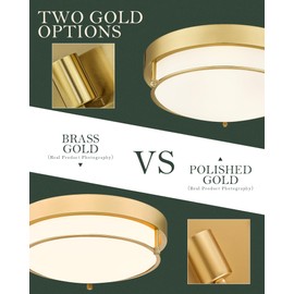 Cargifak 12 inch Flush Mount Light Fixture, 2-Light Modern Ceiling Light with Polished Gold Finish for Hallway Kitchen Laundry Bedroom, 4822-PG
