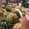 Garneck Fruit Knife Stainless Steel Multifunctional Fruit Cutter Pineapple Banana