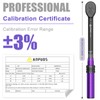 ANPUDS 3/8 Inch Torque Wrench 5-60 Nm, ±3% Error Accuracy