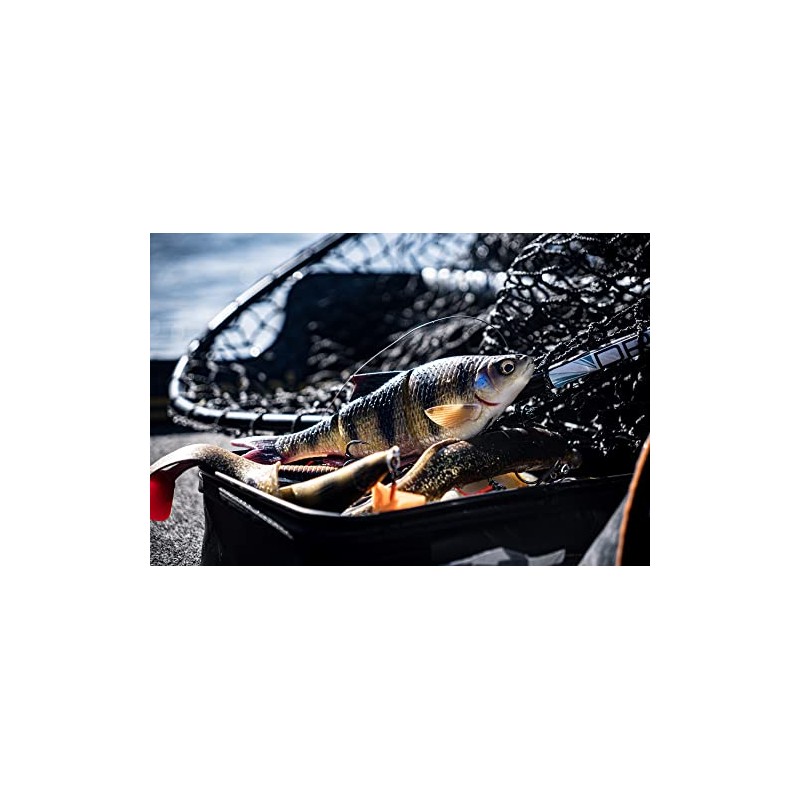 SAVAGE GEAR NEW 2021 PERCH 4D LINE THRU ROACH 25CM