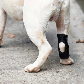 Acid Pet Support, Dog Fracture Treatment, Joint Protector, Licking Prevention, Dog Paw Protector, For Elderly Dogs, Cats, Dogs, Pets, Supporter, Surgical Injury Fixation, Foot Protection, Wound
