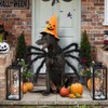 Lumadecor Spider Pet Costume - Cosplay Costumes with Adjustable Velcro