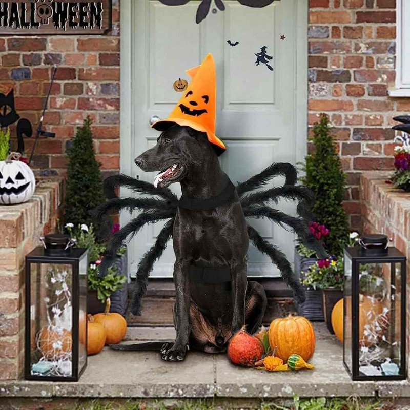 Lumadecor Spider Pet Costume - Cosplay Costumes with Adjustable Velcro