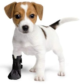 Wound Recovery Boot for Dogs. Protects and Heals Paw. Made from Softshell, Water Resistant and Breathable Material. Recommended by Vets. (X-Large, Black)