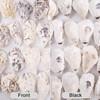 QEQEKAKA 25PCS Oyster Shells 3"-4" Concave Oyster Shells for Crafts