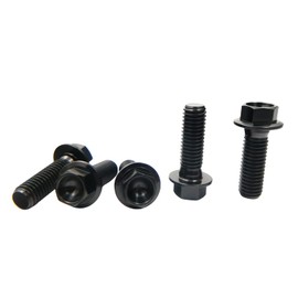 Rison Titanium Bolts Titanium Flanged Hex Head Bolt M8x1.25x25mm 6AL4V Aerospace Grade Ti Bolt Black Titanium Bolt for Motorcycle Car Modification Pack of 5