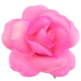 6 Pink Roses with Hot Pink Tips Full Open Bud Wooden Roses for Crafts Custom Bouquets and Other Projects. 10 Colors to Choose from.