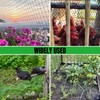 NONMON Bird Netting 5 x 100 ft Heavy Duty Garden