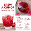 Indochine Blends Hibiscus Tea Bags | 100% Pure Hibiscus Flower