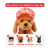 PET SHOW - Gorra de béisbol para perros pequeños