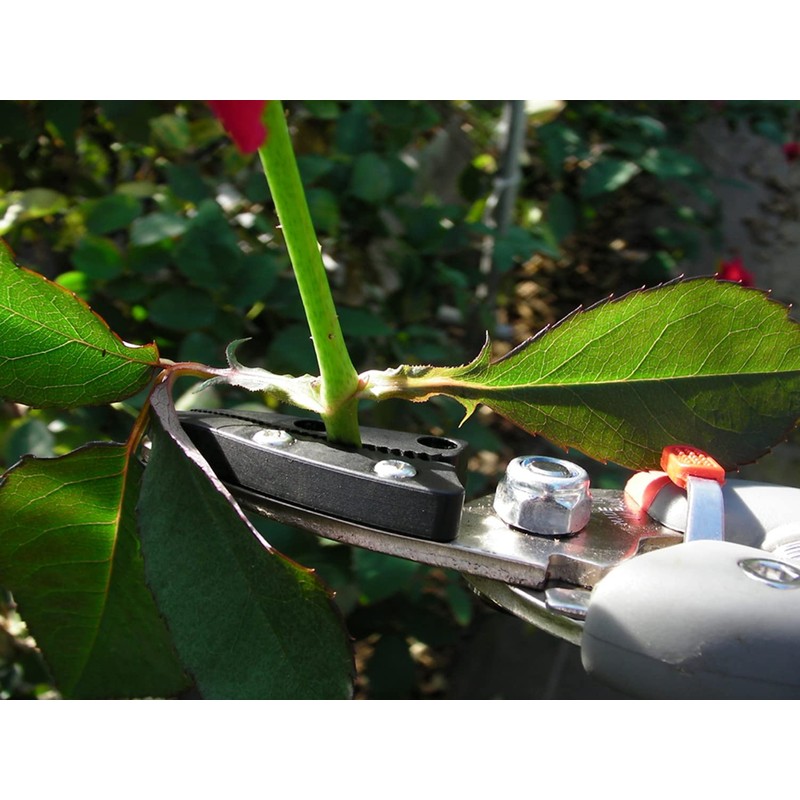 Closest Positive Hold Scissors ts77hb