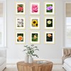 JCJMY 12 Packs 8.5 by 11 Picture Frames, Display 6x8