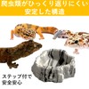 SAKIRABITO Reptile Bait Container Reptilock Reptile Food Dish Amphibian Water