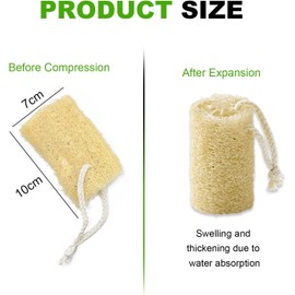 2 Pcs Natural Loofah Cleaning Supplies, All-Natural Loofah Sponge for Shower Exfoliating or Kitchen Dish Cleaning, Shower Loofah Sponge with Rope Suitable for Both Men and Women, Soft Loofah(10cm Long)