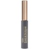 L'Oreal Paris Makeup Lineur Intense Brush Tip Liquid Eyeliner, Black,