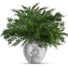 24 Pcs Christmas Norfolk Pine Branches,17 Inches Real Touch Norfolk Pine Stems,Faux Cedar Branches for Christmas Indoor Outdoor Home Decor