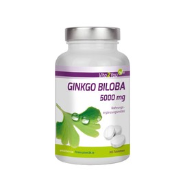 Ginkgo Biloba 6000mg 365 capsules – High Dose – Month Pack – Premium Quality – Made in Germany