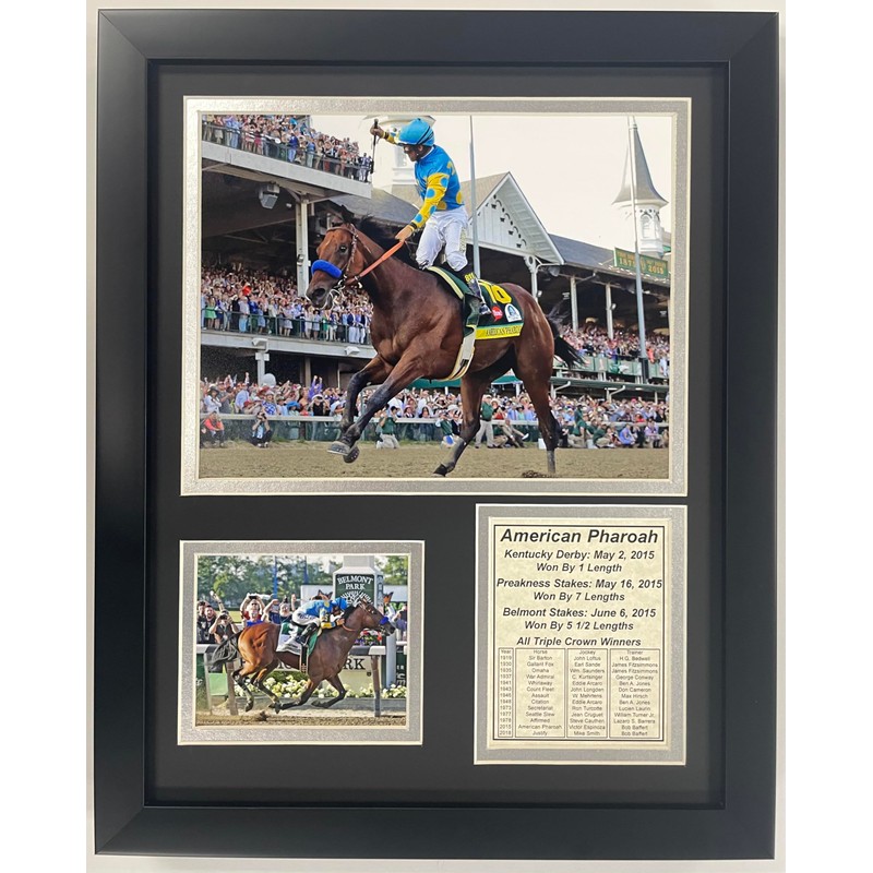 Championsip Racehorse Collectible Memorabilia | Triple Crown Racehorses | Framed