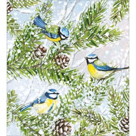 Charity Christmas Cards - Supporting Age UK, British Heart Foundation, Marie Curie and Mind - Pack of 5 - Blue Tits and Pine Cones - Made in the UK - Eco-Friendly