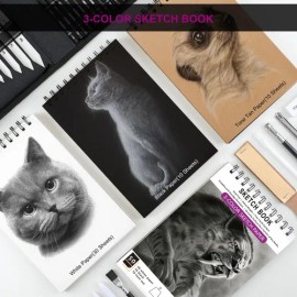 Set De Dibujo Y Boceto De 100 Piezas,lapices De Dibujo Pro                                                                                            
