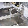 Faucet Kitchen Sink Pull-Down Faucet Sprayer Pull Out Mixer Spray