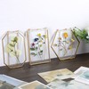JuxYes 3Pcs Glass Frames for Pressed Flowers, Golden Hanging Picture