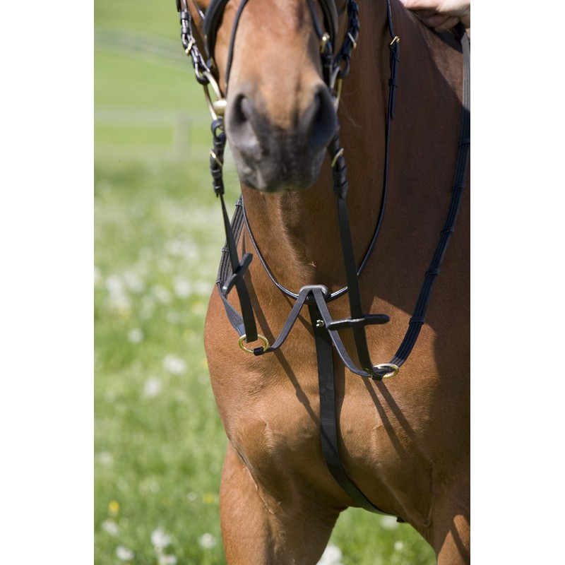 Kieffer Belinda Martingale