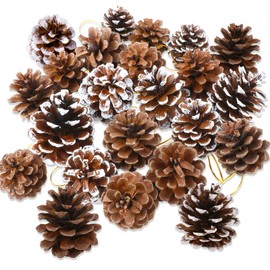 HOWAF Pack of 25 Natural Pine Cones, 5 to 6 cm Size Pine Cones for Crafts, Pine Cones Christmas Tree Pine Cones with String for Christmas Tree Decorations Advent Wreath Christmas Decoration