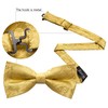 Barry.Wang Paisley Bow Ties for Men Classic Pre Tied Bowtie