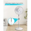 BLACK+DECKER 16" Stand Fan with Pedestal Base, Height Adjustable Pedestal
