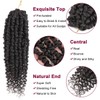 Passion Twist Hair - 8 Packs 12 Inch Passion Twist