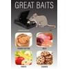 Mouse Traps Indoor (6 Pack) Catch Rats, Mice, and Voles