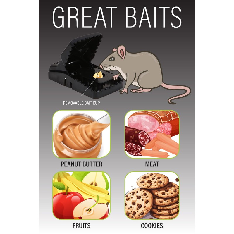 Mouse Traps Indoor (6 Pack) Catch Rats, Mice, and Voles