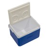 Andes 5L Cool Box for Food and Drinks, Fits 6